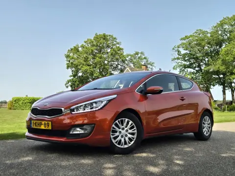 Kia pro_cee'd 1.6 GDI Busines Pack (bj 2013)