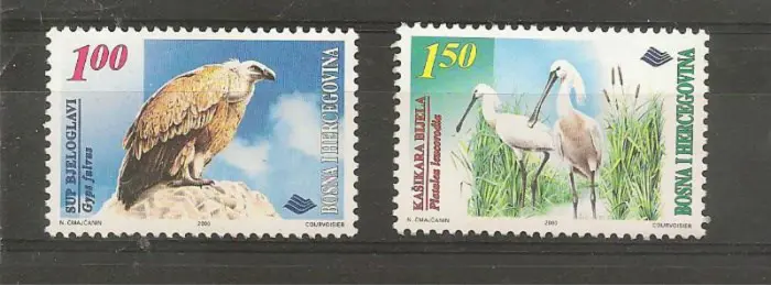 Vogels uit Bosnië en Herzegovina