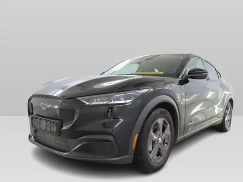 Ford Mustang Mach-E RWD 75 kWh [ 3-Fase ] {SOH-83%} (INCL.BTW)  Aut. *LEATHER | FULL-LED | DAB | DIG