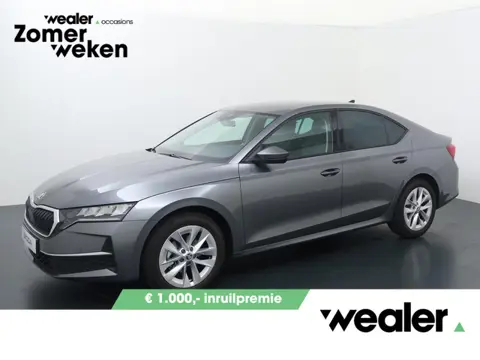 Škoda Octavia Business Edition 1.5 TSI DSG | MHEV | Automaat | Navigatie | Adaptieve cruise control 