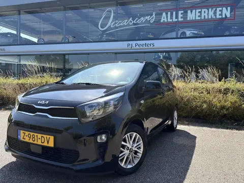Kia Picanto 1.0 DPi DynamicLine Achteruitrijcamera - Apple carplay - Airco - Cruise control - Naviga