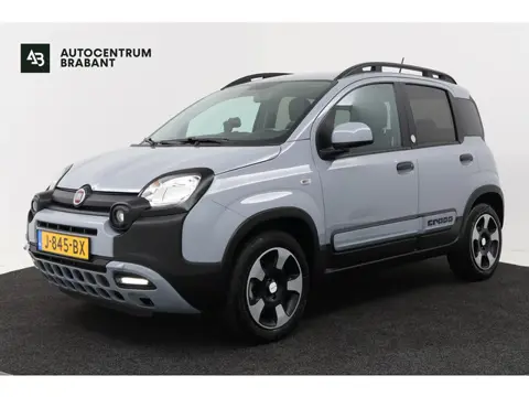Fiat Panda 1.0 Hybrid Launch Edition (bj 2020)