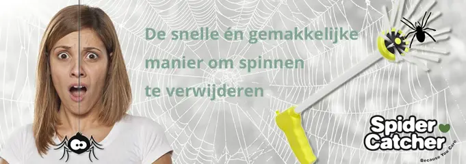 Spinnenvangers te koop | Veel keuze