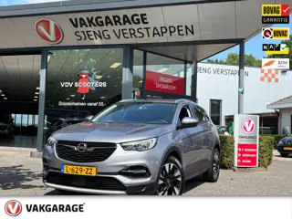 Opel Grandland X 1.2 Turbo Business Executive autom. 360camera. Bovag rijklaarprijs !