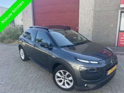 Citroën C4 Cactus 1.6 BlueHDi Business Camera Panorama