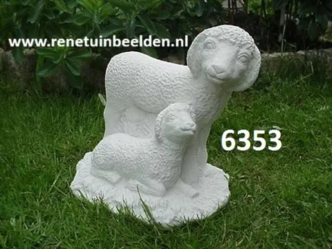 Schaapjes. nr 6353.