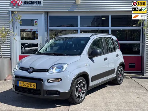 Fiat Panda 1.0 Hybrid City Life / Carplay / Airco / Org-Ned
