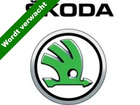 Škoda Kodiaq 1.5 TSI Busn. Ed. 7p. NL-Auto / 7 Persoons / Led verl / Clima