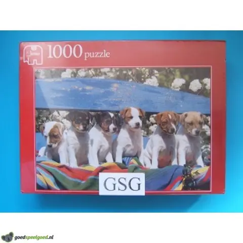 Zes nieuwsgierige puppies op de bank 1000 st nr. 13607-01