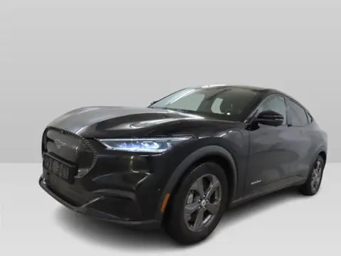 Ford Mustang Mach-E RWD 75 kWh [ 3-Fase ] {SOH-87%] (INCL.BTW) *LEATHER | FULL-LED | DAB | DIGI-COCK