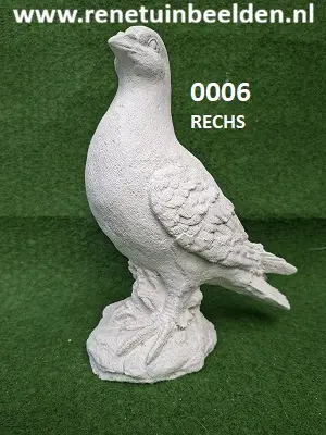 Duif. nr 0006