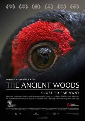 THE ANCIENT WOODS filmposter.