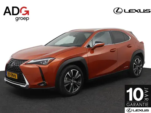 Lexus UX 250h Executive Line  | President Pack | Mark Levinson | NL-auto | Dealer Onderhouden