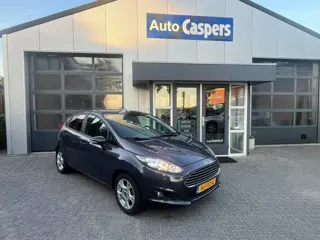 Ford Fiesta 1.0 Titanium (bj 2014)