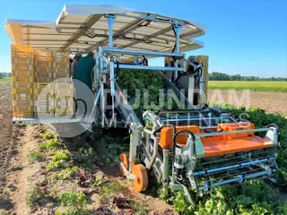 Ortomec Herbex 9000 Lattuga sla-oogstmachine