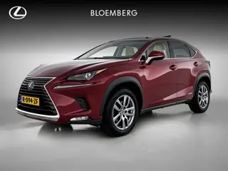 Lexus NX 300h AWD Luxury Line Limited | Schuif - / kanteldak | Fietsendragerbeugel |