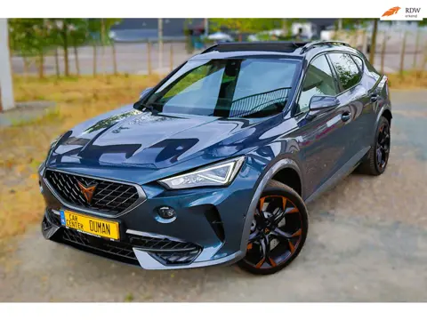 Cupra FORMENTOR 2.0 TSI 4DRIVE Brembo Beats Pano Camera Zelfinparkeer
