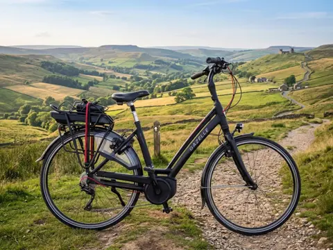 Gazelle Chamonix T10 HMB Framemaat 49 cm 500 WH accu