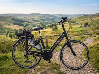 Gazelle Chamonix T10 HMB Framemaat 49 cm 500 WH accu