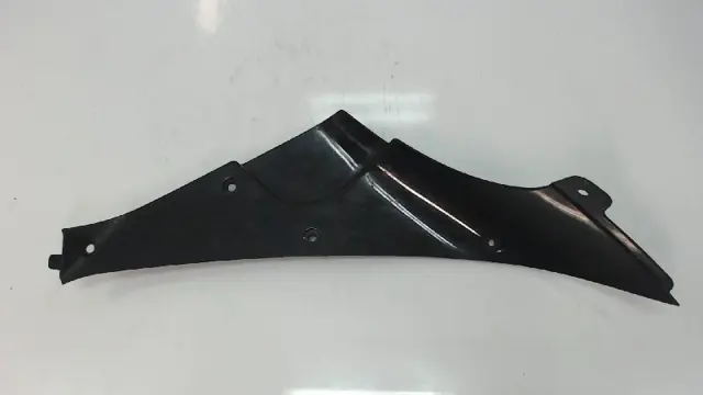 RECHTER ACHTERKANT Yamaha YZF R1 2002 - 2003