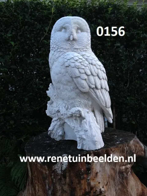 Witte Steen Uil op stam. nr 0156.