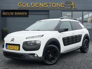 Citroen C4 Cactus 1.2 PureTech Feel D-riem vv in 12-2024 l 2e Eigenaar l Dealer Onderhouden l Clima 