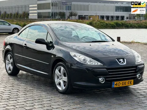 Peugeot 307 CC 2.0-16V LEER/CLIMA/NAP/APK DAK WERKT NIET!