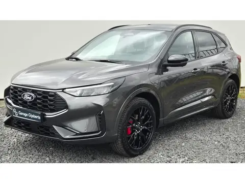 Ford Kuga 2.5 PHEV ST-Line X  Black Pack – AGR Stoelen – 360 Camera – ACC – Privacy Glas – 20”Wielen
