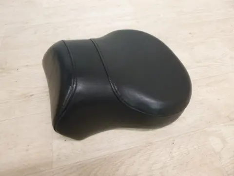 BUDDY ZADEL Harley Davidson heritage classic twin cam