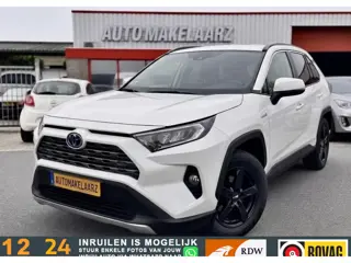 Toyota RAV4 2.5 Hybrid Business