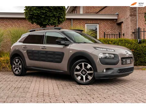 Citroen C4 Cactus 1.2 PureTech Business Plus 110 PK | Distributieriem v.v. | Camera Trekhaak 17''