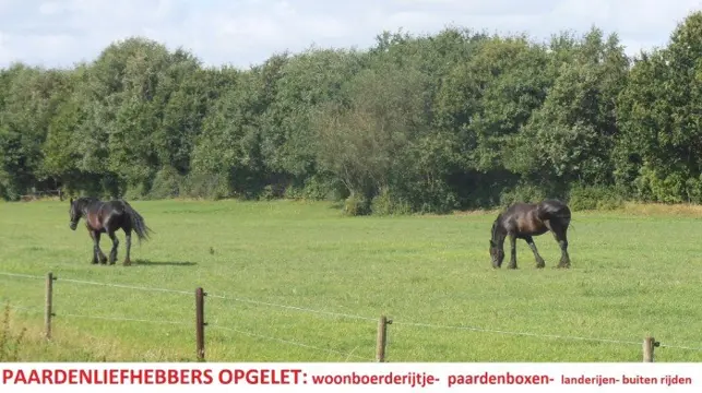 Paardenliefhebbers, woonboerderijtje, landerijen, stallen