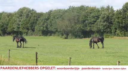 Paardenliefhebbers, woonboerderijtje, landerijen, stallen