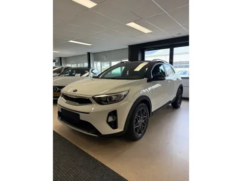 Kia STONIC 1.0 T-GDi DynamicPlusLine