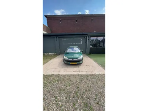 Peugeot 206 1.4 Gentry Premium