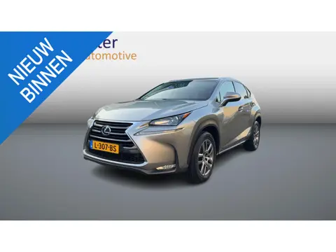 Lexus NX 300h AWD Luxury Line Leder/Winterset