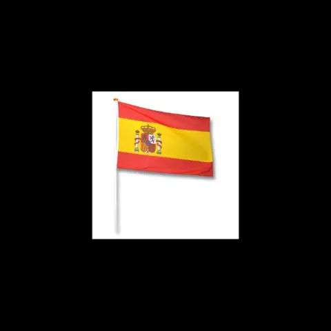 Vlaggen van heel de wereld