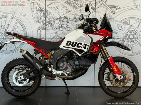 Ducati DESERTX RALLY (bj 2024)