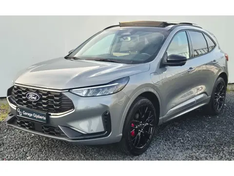 Ford Kuga 2.5 PHEV ST-Line X Black Pack – Panorama Dak – Trekhaak - 360 Camera – ACC – Privacy Glas 