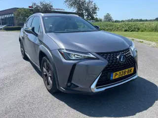 Lexus UX 250h Business Line, Aut, Acc, Stoelvrw, Navi, Pdc, Cam, Leder, LED, Bluetooth, Lmv, Goed oh