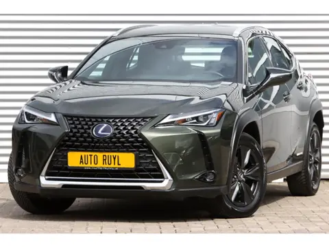 Lexus UX 250h Luxury Line Leer (bj 2022, automaat)
