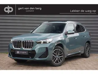 BMW X1 xDrive25e - M SPORT - PANODAK - LEDER - CARPLAY - KEYLESS - CAMERA -