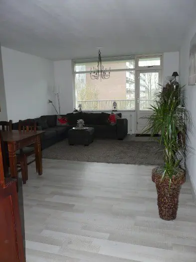 Woningruil gezocht naar Amsterdam/Diemen/Duivendrecht