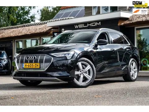 Audi E-tron E-tron 50 quattro Launch edition 71 kWh Soh 84% I Trekhaak I Climate I Cruise I Stoelgeh