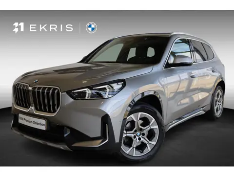 BMW X1 sDrive18i xLine | Panorama dak | Driving Assistant Plus | achteruitrijcamera | afneembare tre
