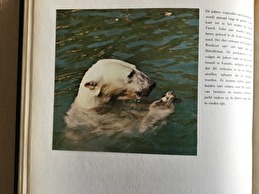 Boek v.Groenland speciaal land m.sneeuw ,eskimo,s,robben enz