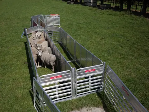 Landquip Porta-Yards schapenhekken