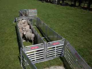 Landquip Porta-Yards schapenhekken