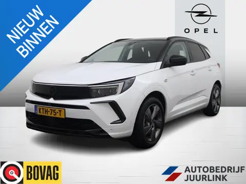Opel Grandland 1.6 Turbo Plug-In Hybrid 4x4 GSe 300pk 360.Camera/ Winterpakket/4S.Banden/Nav/Ecc/Led