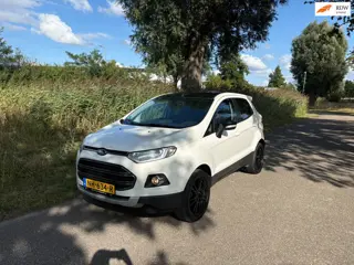 Ford EcoSport 1.0 EcoBoost Titanium S Airco Cruise Navi Pdc Stoelverwarming Leder Bekleding